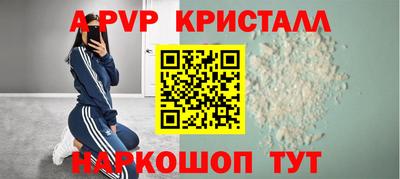 a pvp Новозыбков