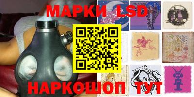 a pvp Новозыбков