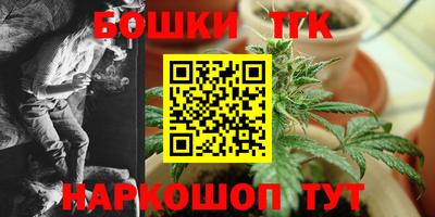 a pvp Новозыбков
