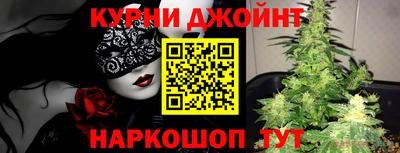 a pvp Новозыбков