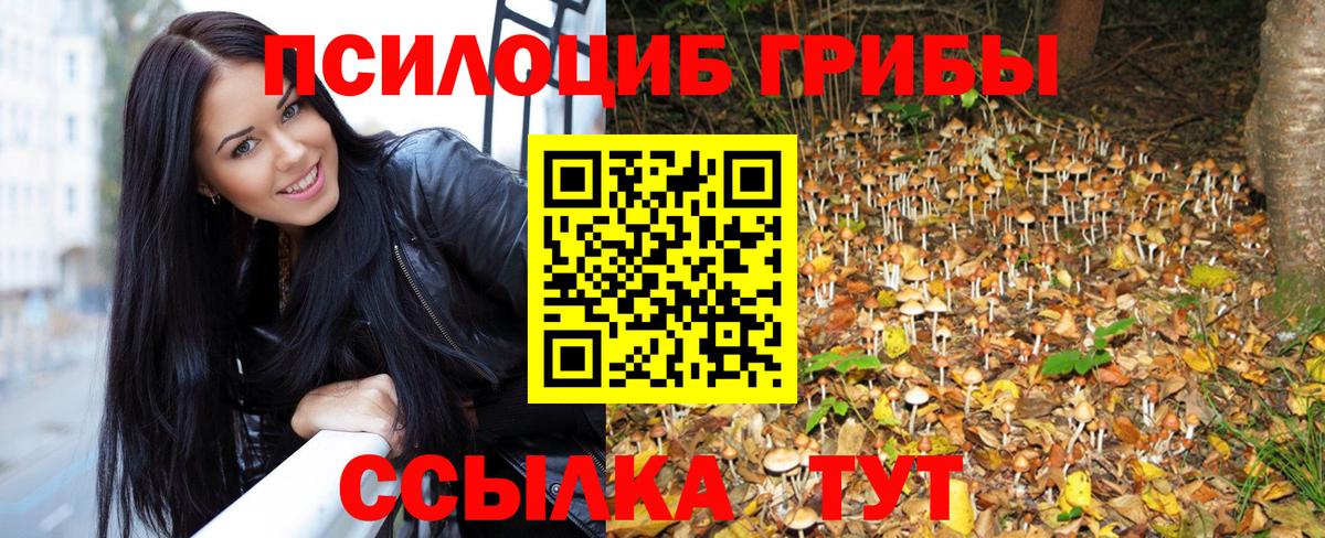 Саратов  Галлюциногенные грибы прущие грибы  Псилоцибиновые грибы MAGIC MUSHROOMS  как найти наркотики  Вход с VPN 